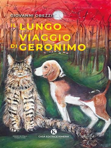 Il lungo viaggio di Geronimo - Giovanni Obezzi