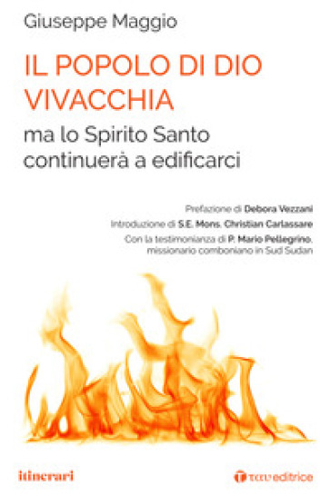 Il popolo di Dio vivacchia ma lo Spirito Santo continuerà a edificarci - Giuseppe Maggio