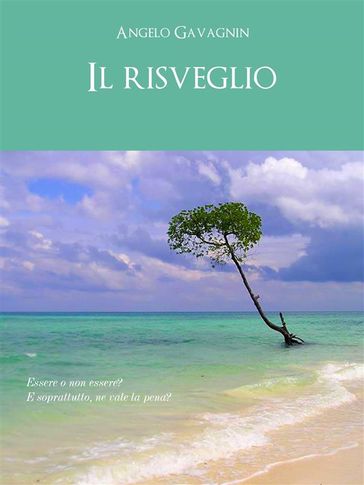 Il risveglio - Angelo Gavagnin