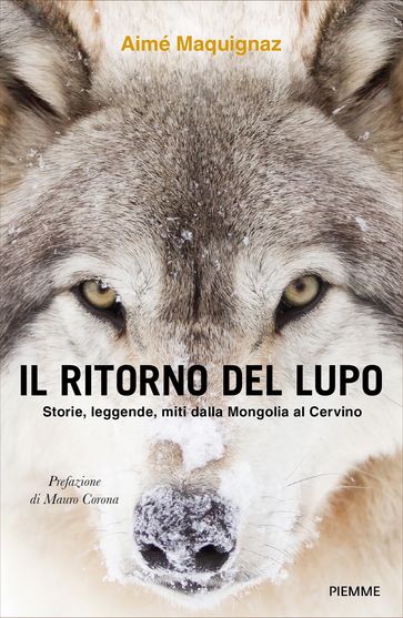 Il ritorno del lupo - Aimé Maquignaz