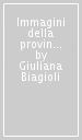 Immagini della provincia pisana. Il tempo e la storia. Ediz. illustrata