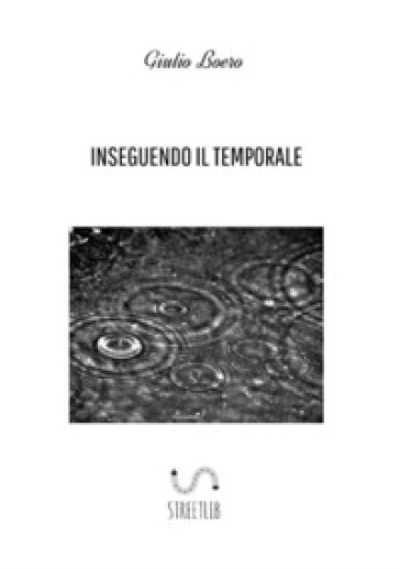 Inseguendo il temporale - Giulio Boero