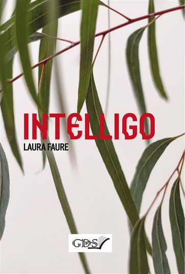 Intelligo - Laura Faure