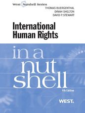 International Human Rights in a Nutshell, 4th