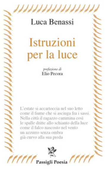 Istruzioni per la luce - Luca Benassi