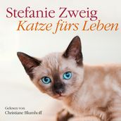 Katze fürs Leben