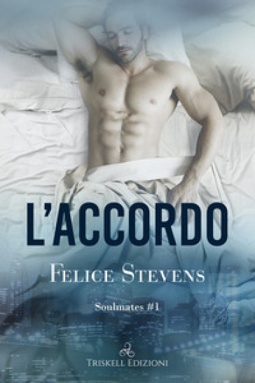 L'accordo. Soulmates. Vol. 1 - Felice Stevens