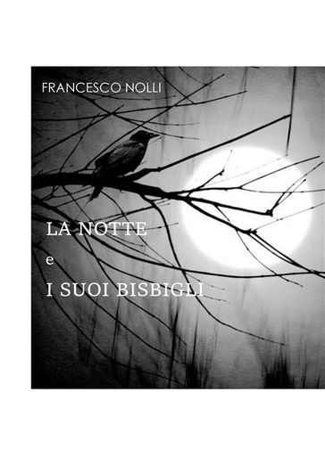 LA NOTTE e I SUOI BISBIGLI - Francesco Nolli