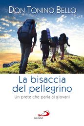 La bisaccia del pellegrino. Un prete che parla ai giovani