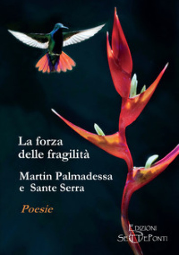 La forza delle fragilità - Martin Palmadessa - Sante Serra