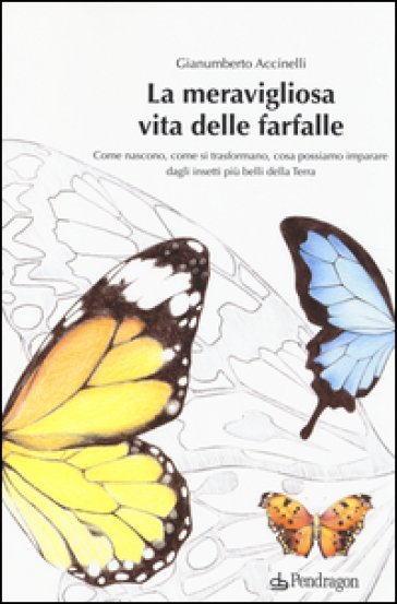 La meravigliosa vita delle farfalle. Come nascono, come si trasformano, cosa possiamo imparare dagli insetti più belli della Terra. Ediz. illustrata - Gianumberto Accinelli