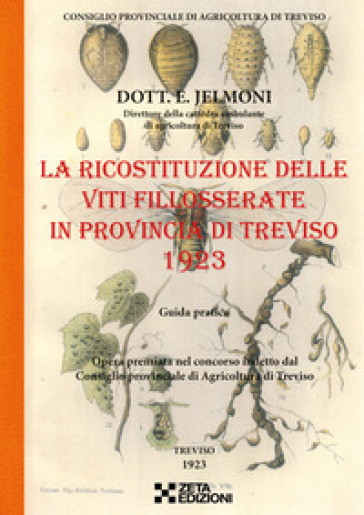 La ricostituzione delle viti fillosserate in provincia di Treviso 1923 - Evaristo Jelmoni