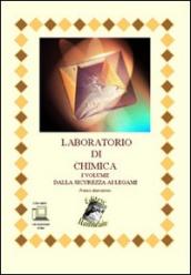 Laboratorio di chimica. Per le Scuole superiori. Con espansione online. Vol. 1: Dalla sicurezza ai legami