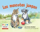 Las mascotas juegan