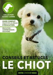 Le chiot: conseils et astuces