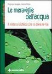 Le meraviglie dell acqua