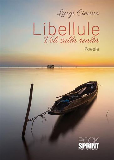 Libellule - Voli sulla realtà - Luigi Cimino