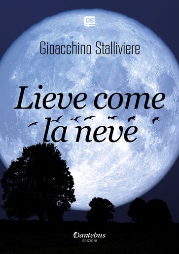 Lieve come la neve - Gioacchino Stalliviere