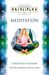 Meditation: The only introduction you ll ever need (Principles of)