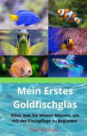 Mein Erstes Goldfischglas Alles, was Sie Wissen Mussen, um mit der Fischpflege zu Beginnen