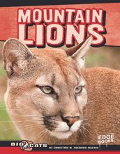 Mountain Lions