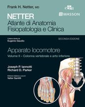 NETTER Atlante di anatomia fisiopatologia e clinica: Apparato Locomotore 2