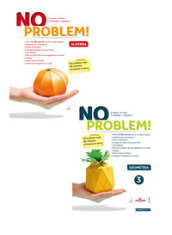 No problem! Per la Scuola media. Con e-book. Con espansione online. Vol. 3: Algebra e Geometria