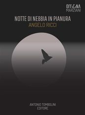 Notte Di Nebbia In Pianura