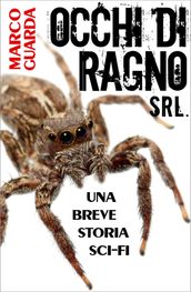 Occhi di Ragno Srl.