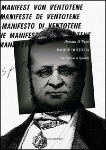 Pagine di storia. Da Cavour a Spinelli - Donato D