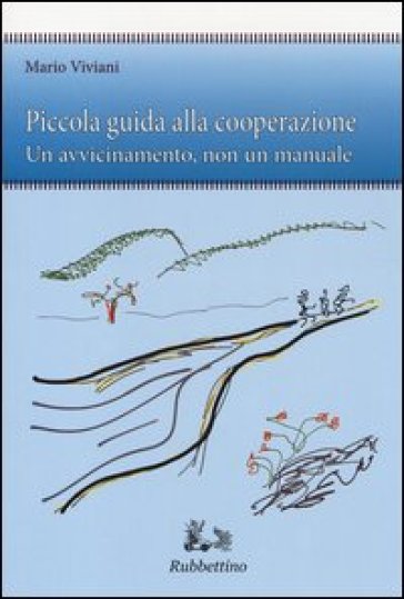 Piccola guida alla cooperazione. Un avvicinamento, non un manuale - Mario Viviani