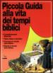 Piccola guida alla vita dei tempi biblici