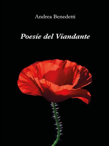 Poesie del Viandante - Andrea Benedetti