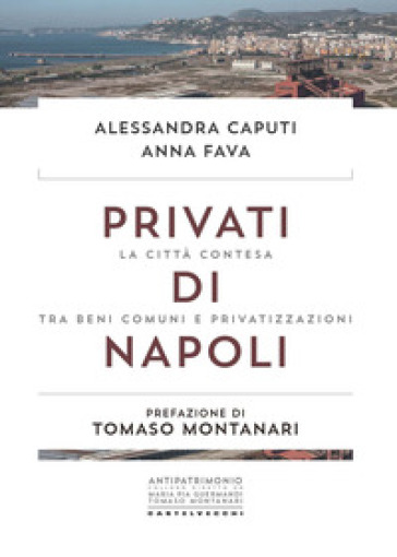 Privati di Napoli. La città contesa tra beni comuni e privatizzazioni - Alessandra Caputi - Anna Fava