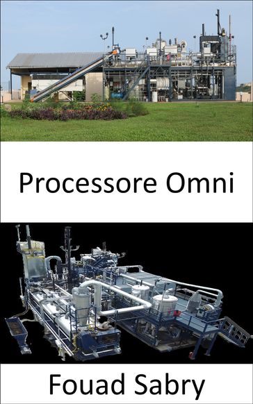 Processore Omni - Fouad Sabry