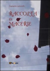 Raccolta di macerie