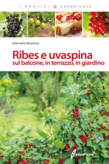 Ribes e uvaspina sul balcone, in terrazzo, in giardino - Giancarlo Bounous