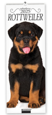 Rottweiler. Calendario 2025. Long