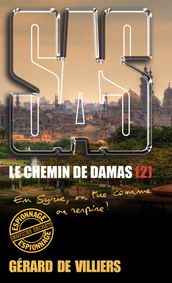 SAS 194 Le chemin de Damas T2