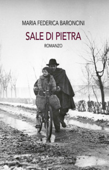 Sale di pietra - Maria Federica Baroncini