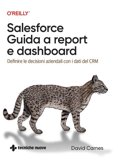 Salesforce  Guida a report e dashboard - David Carnes