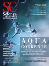 Scienza e conoscenza. Vol. 75: Acqua coerente