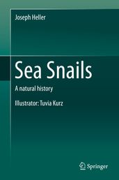 Sea Snails