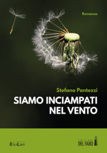 Siamo inciampati nel vento - Stefano Pantezzi