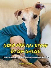 Solo per gli occhi di un galgo