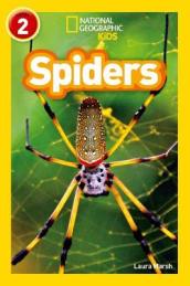 Spiders