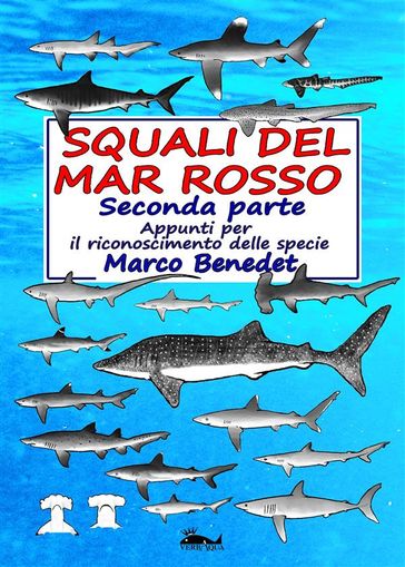 Squali del Mar Rosso 2a parte - Le specie - Marco Benedet