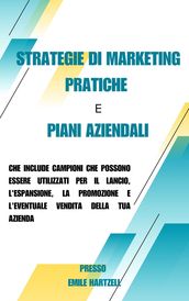 Strategie di marketing pratiche e piani aziendali