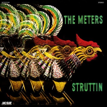 Struttin - METERS