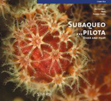 Subacqueo... pilota-Driver and pilot. Ediz. bilingue - Matteo Valli